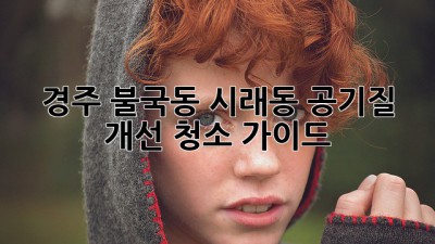 경주 불국동 시래동 공기질 개선 청소 가이드