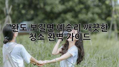 완도 보길면 예송리, 깨끗한 청소 완벽 가이드!